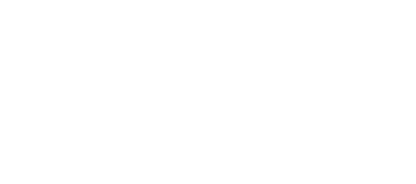 SpaceX Digital